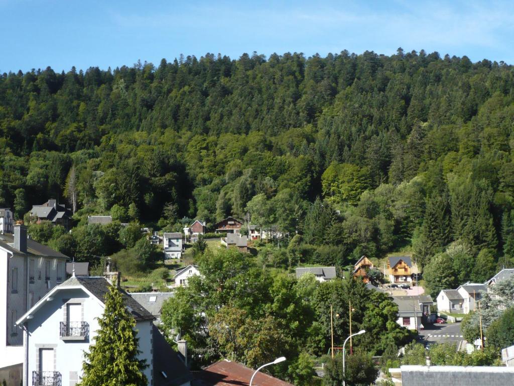 Residence Wilson Le Mont-Dore Zimmer foto